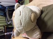 手羽崎