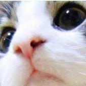 まるU^p^U