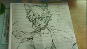 Sora
