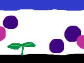 浅井一