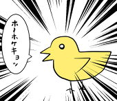 時鳥