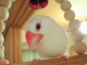 ゆっち