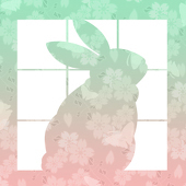 のここ