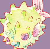 けえ