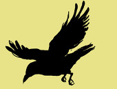 ktym
