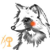 たぬき