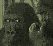 皇棺
