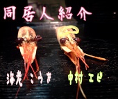 まおきち