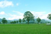 西原