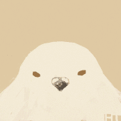 橋本鳩