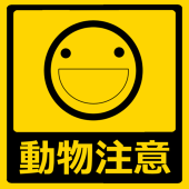 ヤオアキラ