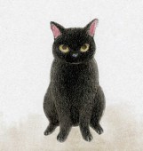 やまこ