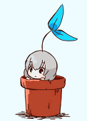 橙子君