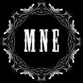 MNE 休止中