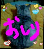 しっぽ