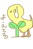 ビスケ