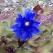 未來亞