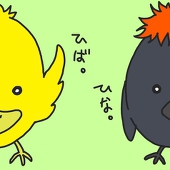 しらいし
