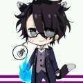 sarumi