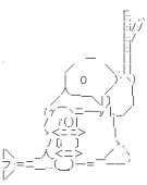 葱屋