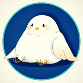きゅう