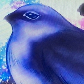 蒼星
