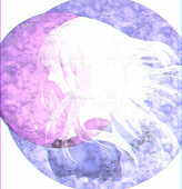 Limeki