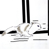 Dan丶兔子