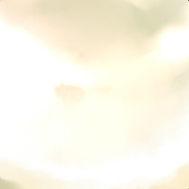 ココニ