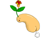 豆蘑