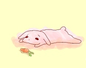 星空うさぎ