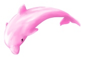 藍海豚