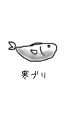 寒ブリ