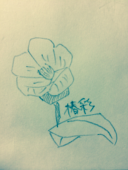 椿彩