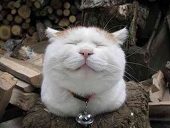 すず