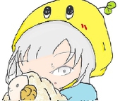 紫苑