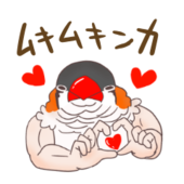 コオ