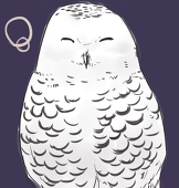 あやおり