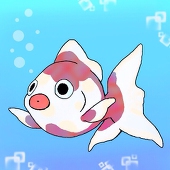 白琵
