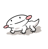 にっぽ