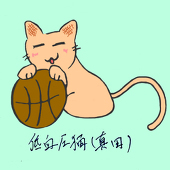 低血圧猫