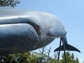 ザジ