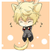 みずきのこ