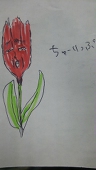 昌哉(ﾖｼﾔ)