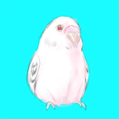 rara
