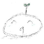 Sứ