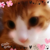 ♥.:*LAW.:*♡ 