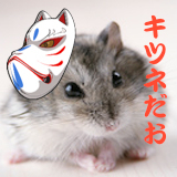 wanko