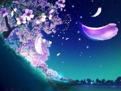 聖蘭-seiran-