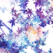 倉前 雪月